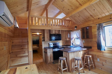 2949 U S 321, Parrottsville, TN 37843 - photo 6