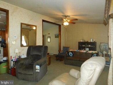 3913 Irish Creek Rd, Bernville, PA 19506 - photo 2