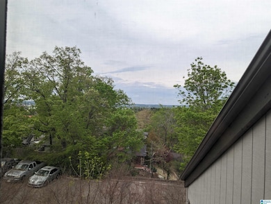 3350 Altamont Rd S unit B6, Birmingham, AL 35205 - photo 3