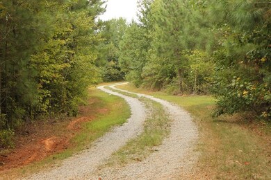 0 S Hill Rd unit 40892, Lunenburg, VA 23944 - photo 4