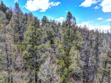 0 Galahad Way unit S1048485, Hartsel, CO 80449 - photo 5