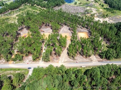 3043 Fields (Lot 2) Rd, Fayetteville, NC 28312 - photo 4