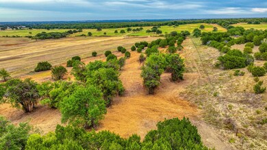 Lot 1 Pine Rd, Poolville, TX 76487 - photo 4