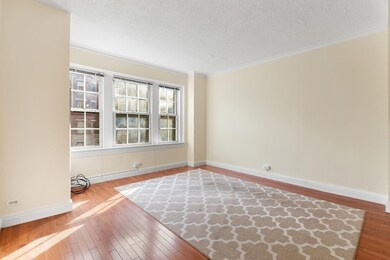 The Charlesview unit 302, Boston, MA 02215 - photo 7