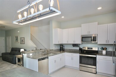 17620 Nectar Flume Dr, Land O' Lakes, FL 34638 - photo 5