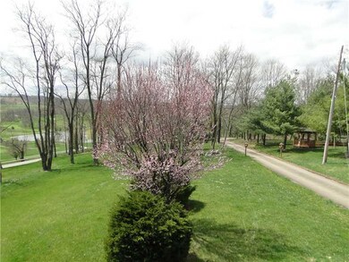 Yard/Garden.