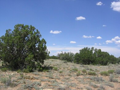 Rognlin 20 Acres 024