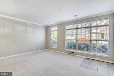 42593 Cardinal Trace Terrace, Ashburn, VA 20148 - photo 4