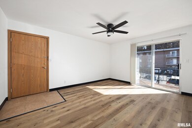 2975 W Cannes Dr unit 14, Peoria, IL 61615 - photo 7