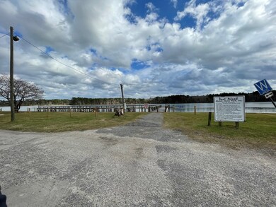 1033 Ralph Bell Rd, Summerton, SC 29148 - photo 4