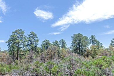 400 N Maranantha Rd unit 3, Payson, AZ 85541 - photo 3