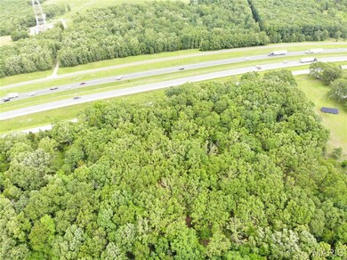 Drone / aerial view of a heavily wooded area
