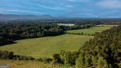 0 Martindale Rd unit 10608820, La Fayette, GA 30728 - photo 3