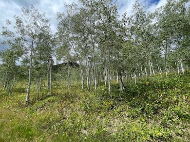 View of local wilderness