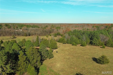 19723 Friendship Dr, Raymondville, MO 65555 - photo 3