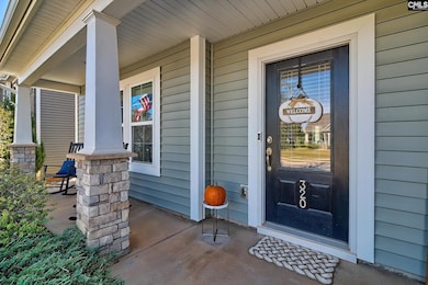 320 Hollow Cove Rd, Chapin, SC 29036 - photo 4