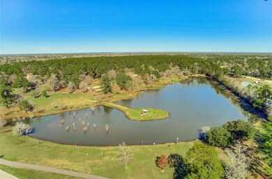 626 Wildflower Trail Place, Tomball, TX 77375 - photo 6