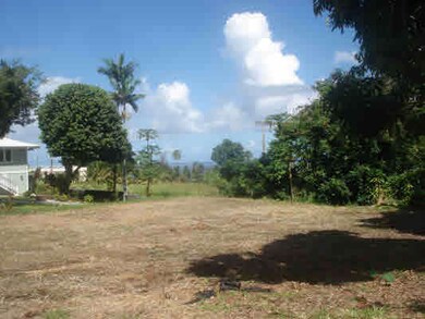 0 Mamalahoa Hwy, Hilo, HI 96720 - photo 7