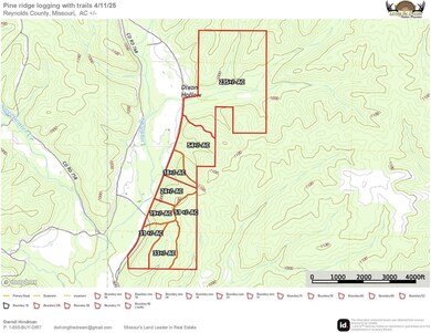 0 Highway B unit 11555620, Ellington, MO 63638 - photo 4