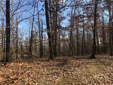 0 N U of A Beef Farm Rd unit 1104343, Fayetteville, AR 72704 - photo 3