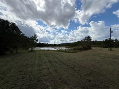 935 Farm To Market 82, Kirbyville, TX 75956 - photo 3
