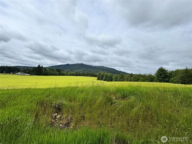 3869 Meins Rd, Sedro Woolley, WA 98284 - photo 2