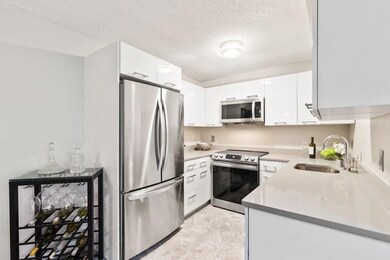 23 Elm St unit 304, Somerville, MA 02143 - photo 5