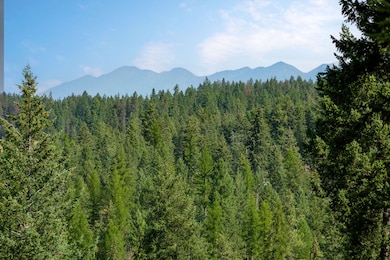 239 Stage Ridge Rd, Bigfork, MT 59911 - photo 4