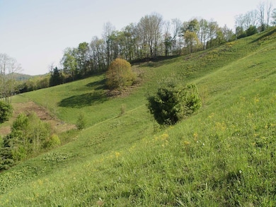 0 Tbd Beechwood Rd unit 25, Clyde, NC 28721 - photo 7