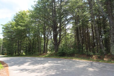 Road view