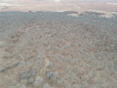 0009 County Road 2145, Bartlesville, OK 74003 - photo 4