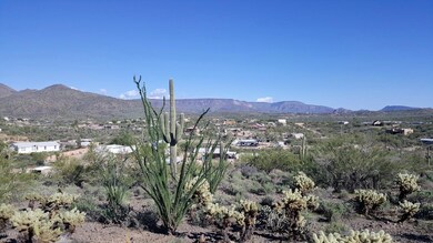 Mountain Views