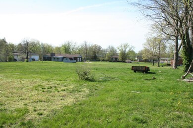 1312 back yard facing south