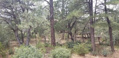 Looking at home from Cypress Street