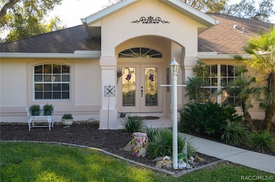 Beautiful etched, leaded front doors
