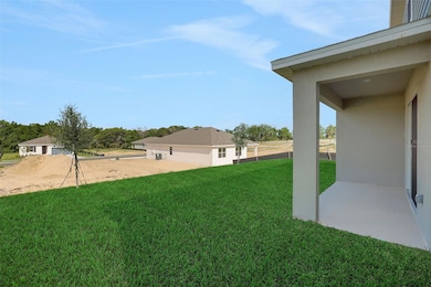 2833 Doolittle St, Tavares, FL 32778 - photo 3