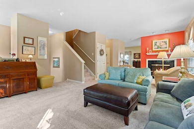 161 Patrick Ave unit 1803E, Willow Springs, IL 60480 - photo 4