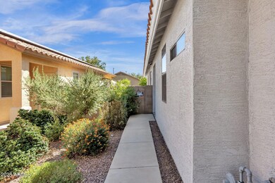 5-web-or-mls-12613-w-cercado-ln