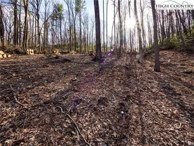 Lot 47 Wildcat Wilderness Pkwy, Deep Gap, NC 28618 - photo 7