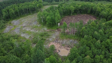 120 Acres Wisconsin 86, Tomahawk, WI 54487 - photo 2