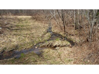 Small stream on lot