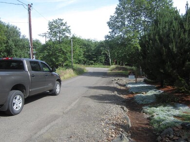 Looking south on Old Netarts Road