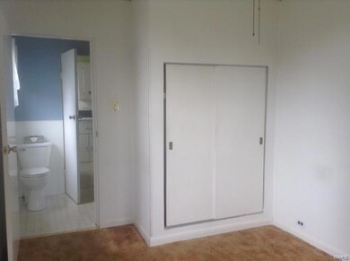 310 S State St, Freeburg, IL 62243 - photo 6