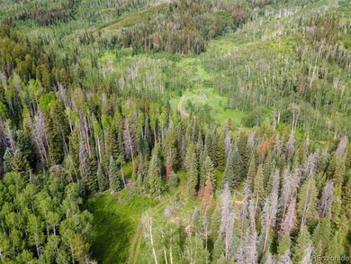 0 Springboard Colt Trail unit 8259371, Oak Creek, CO 80467 - photo 4