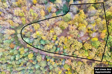 Lots 1,2,3 Timber Grove Rd, Sevierville, TN 37862 - photo 6