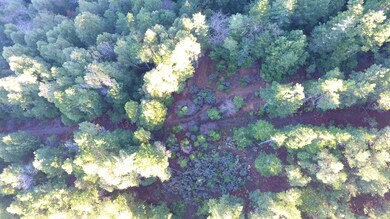 DJI_0196