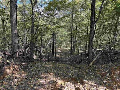 0 Bethuel Rd unit Lot 3, Unincorporated, TN 38053 - photo 6