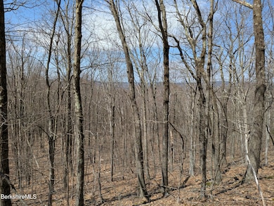 0 Lenox Rd unit 246122, West Stockbridge, MA 01266 - photo 3