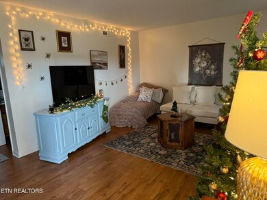 1926 Topside Rd, Louisville, TN 37777 - photo 6