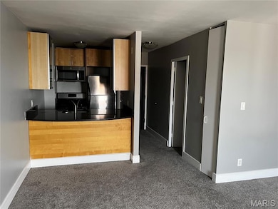 Kitchen with stainless steel appliances, dark colored carpet, dark stone countertops, and a peninsula